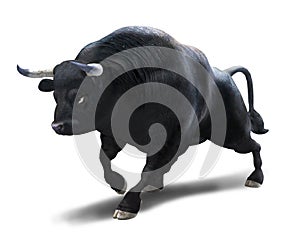 Raging Bull Attacking on White