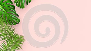 3D render of realistic palm leaves on pink background for cosmetic ad or fashion illustration. Tropical frame exotic photo