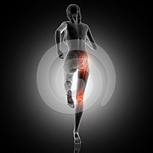3D rear view of a female running with knee and hip joint highlighted