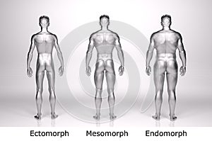 3D Render : standing male body type : ectomorph , mesomorph , endomorph with silver texture