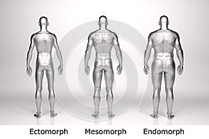 3D Render : standing male body type : ectomorph , mesomorph , endomorph with silver texture