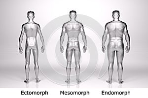 3D Render : standing male body type : ectomorph , mesomorph , endomorph with silver texture photo