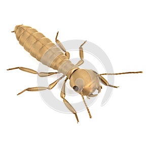3d render of termite alate