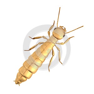 3d render of termite de-alate