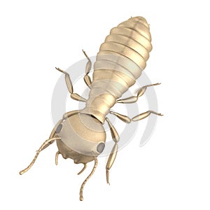 3d render of termite larva