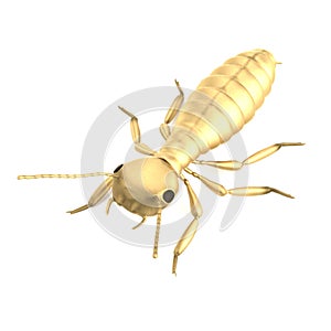 3d render of termite nymph