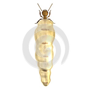3d render of termite queen