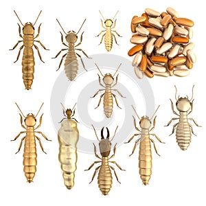 3d render of termite set