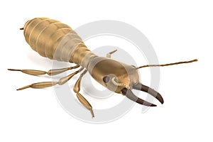 3d render of termite soldier