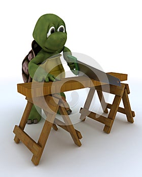 Tortoise carpenter contractor