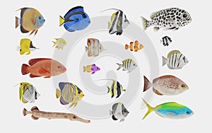 3D Render of Tropical Fish Collection