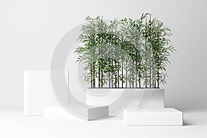 3D render of tropical plants isolated on white