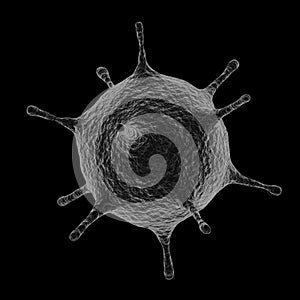 3D Virus