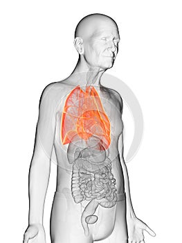 An elderly mans lungs
