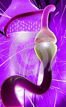 3d rendered chemical synapse