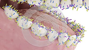 Bacteria on the teeth