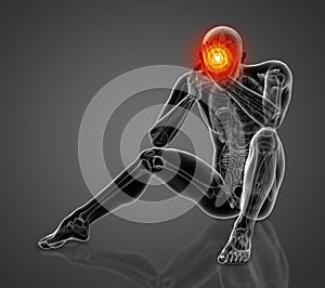 3d rendered of the human