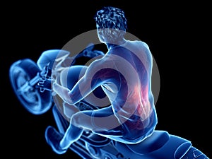 a bikers back muscles