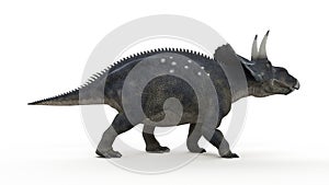 a diceratops