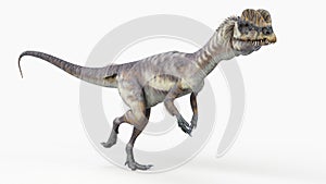 A dilophosaurus