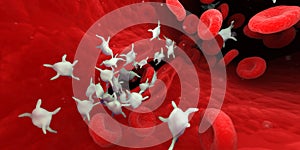platelets photo