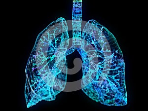 A plexus lung photo