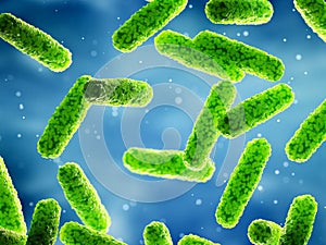 Generic rod shaped bacteria