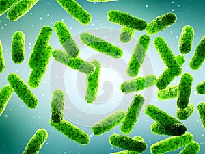 Generic rod shaped bacteria