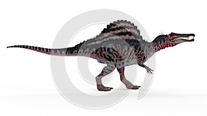 A spinosaurus photo