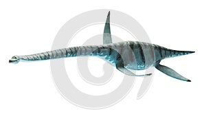 styxosaurus
