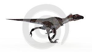 A utahraptor