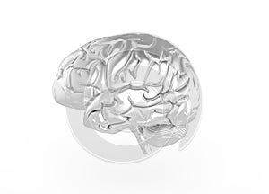 3D Rendered image of Human brain side view in silver color