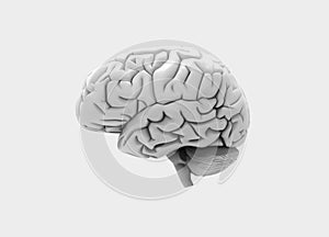 3D Rendered image of Human brain side view