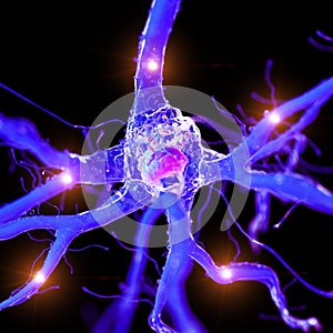 An active nerve cell