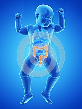 A babys colon photo