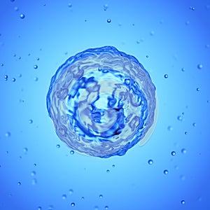 a basophil