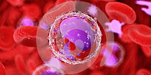 Blood cells, platelets and leucocytes photo