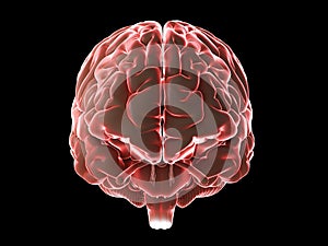 a glowing human brain