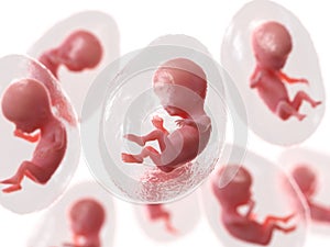 Human embryos