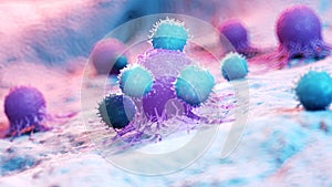 Leukocytes attacking a cancer cell photo