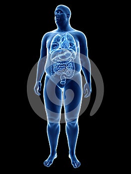 An obese mans organs