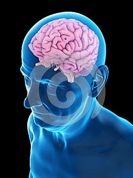 an old mans brain