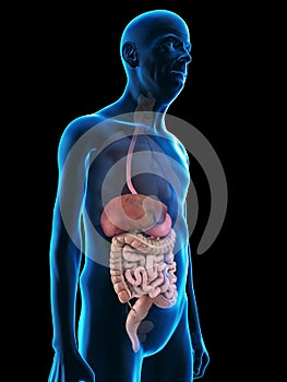 an old mans digestive system