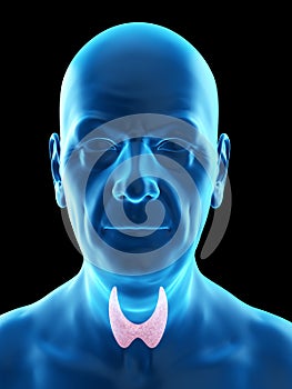 an old mans thyroid gland