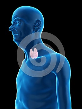 an old mans thyroid gland
