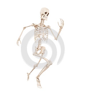 A running skeleton