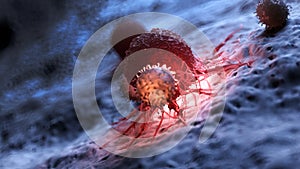White blood cells attacking a cancer cell photo