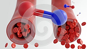 the molecular and cellular dynamics of vasodilation and nitric oxide molecules