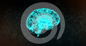 Abstract Network Connection Mesh Of Human Brain