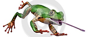 3D Rendering Amazon Tree Frog on White